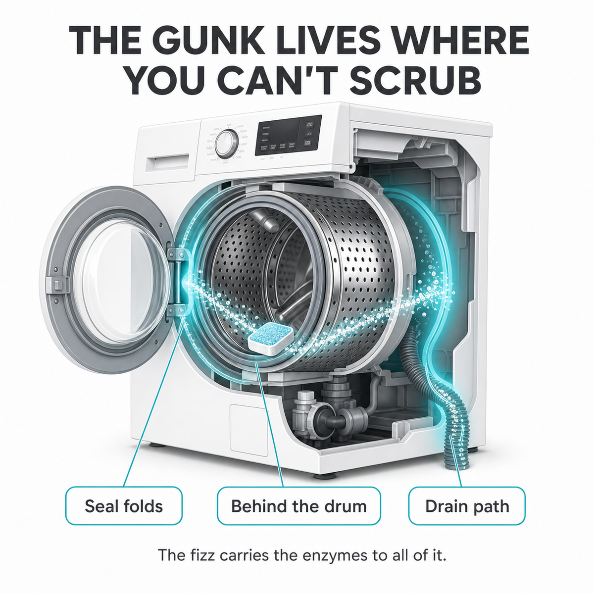 The gunk lives where you cannot scrub: washing machine cutaway